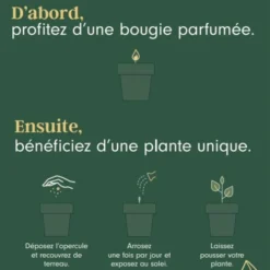 Drake Bougies Bougie 40h Géranium Et Graines Origan -Bougeoirs Soldes Magasin bougie 40h geranium et graines origan 1