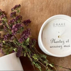 Drake Bougies Bougie 70h Fleur D'Oranger Et Graines -Bougeoirs Soldes Magasin bougie 70h fleur d oranger et graines 2