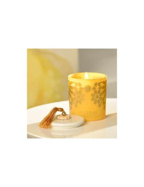 Esteban Bougies Bougie Déco Rechargeable Ambre 4 Esteban Bougies Bougie Déco Rechargeable Ambre – Image 2