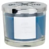 Maisons Du Monde Décorations Lumineuses De Noël Bougie Parfumée Bleue En Verre Avec Couvercle Flocon Argenté 220g -Bougeoirs Soldes Magasin bougie parfumee bleue en verre avec couvercle flocon argente 220g 1000 16 32 228853 1