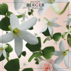 Maison Berger Bougies Bougie Parfumée Clarity Givrée Jasmin Précieux -Bougeoirs Soldes Magasin bougie parfumee clarity givree jasmin precieux 4