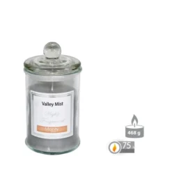 Wadiga Bougies Bougie Parfumée Dans Pot En Verre Brume De La Vallée 9,5x17cm -Bougeoirs Soldes Magasin bougie parfumee dans pot en verre brume de la vallee 9 5x17cm 2