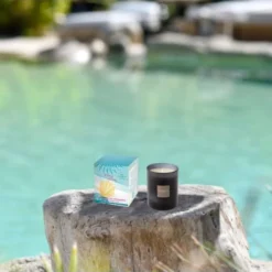 Esteban Bougies Bougie Parfumée Et Rechargeable Ylang-ylang -Bougeoirs Soldes Magasin bougie parfumee et rechargeable ylang ylang 1