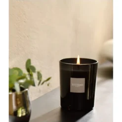 Esteban Bougies Bougie Parfumée Et Rechargeable Ylang-ylang -Bougeoirs Soldes Magasin bougie parfumee et rechargeable ylang ylang 2