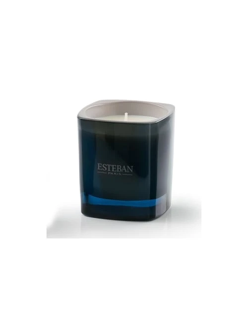 Esteban Bougies Bougie Parfumée Lin Et Petitgrain 5 Esteban Bougies Bougie Parfumée Lin Et Petitgrain – Image 3
