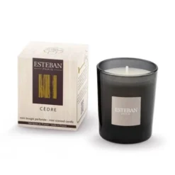 Esteban Bougies Bougie Parfumée Mini Cèdre 70g
