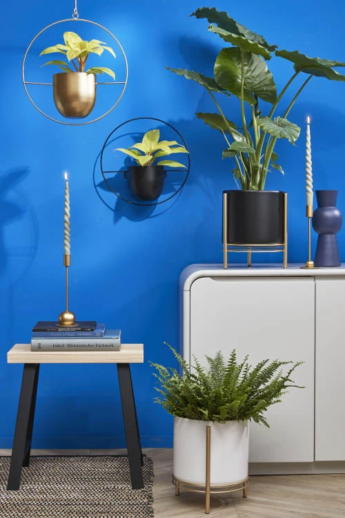 Mica Decorations Lot De 6 Bougies Longue Torsadées Vert Clair 4 Mica Decorations Lot De 6 Bougies Longue Torsadées Vert Clair – Image 2